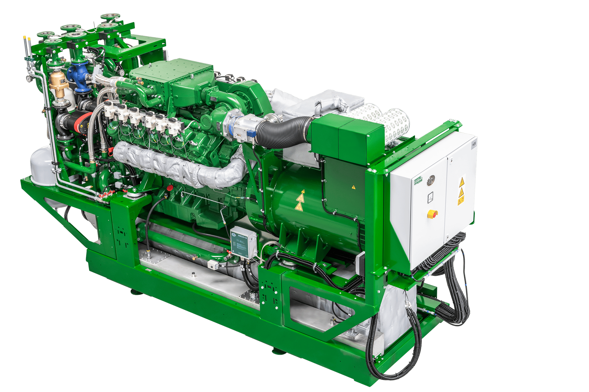 特大 南米 ウスバカミキリ 標本 特大 南米 ウスバカミキリ 標本 2025年